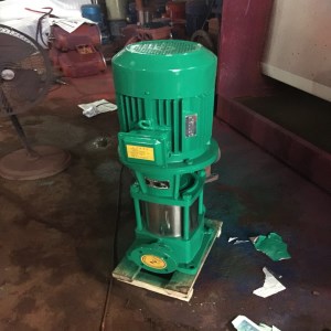 供應(yīng)GDL型多級(jí)管道泵